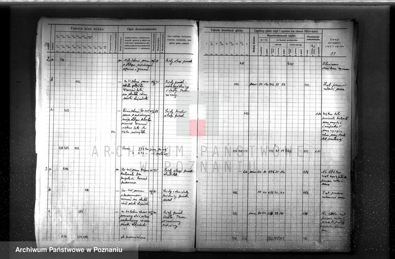 Obraz 13 z jednostki "Plan urządzenia gospodarstwa leśnego dla lasu Berty Stelter w Piotrowie powiat szamotulski 1930-1940"