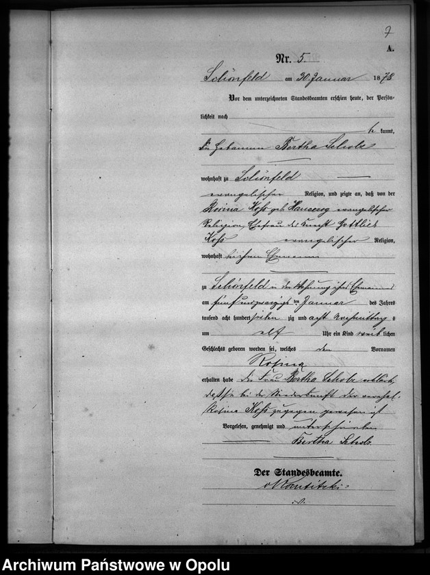 Obraz 8 z jednostki "Geburts-Haupt-Register Standesamts Schönfeld pro 1878"