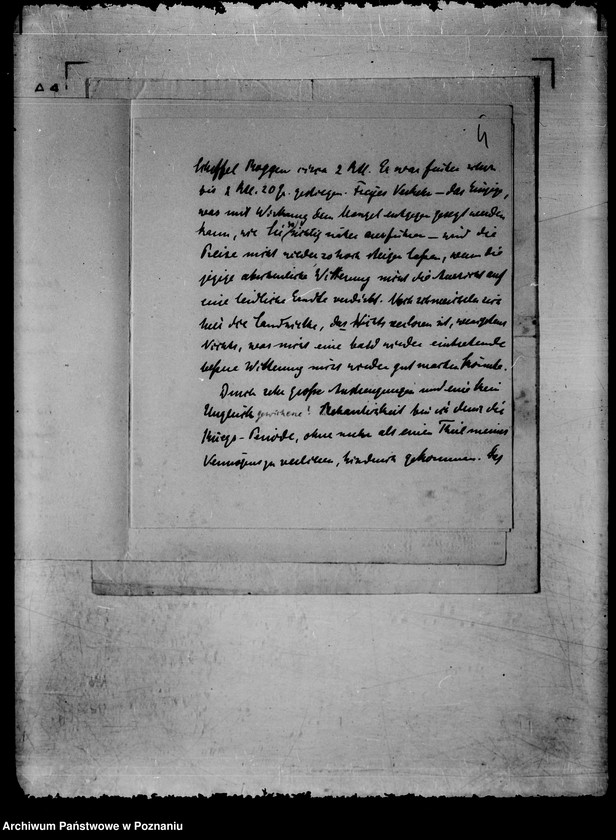 Obraz 8 z jednostki "/Dwa listy Zerboniego/."