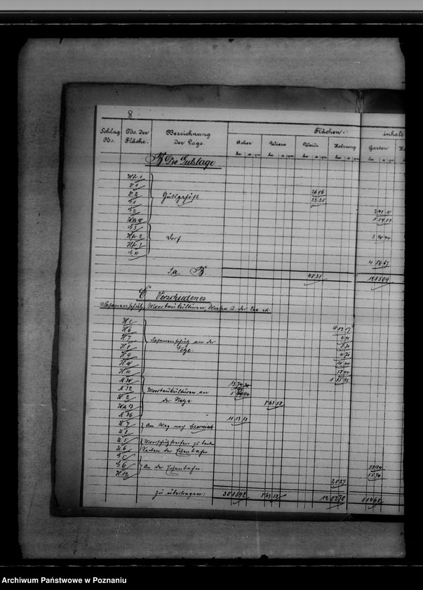 Obraz 12 z jednostki "Vermessungsregister von der Königlichen Domäne Kunowo"