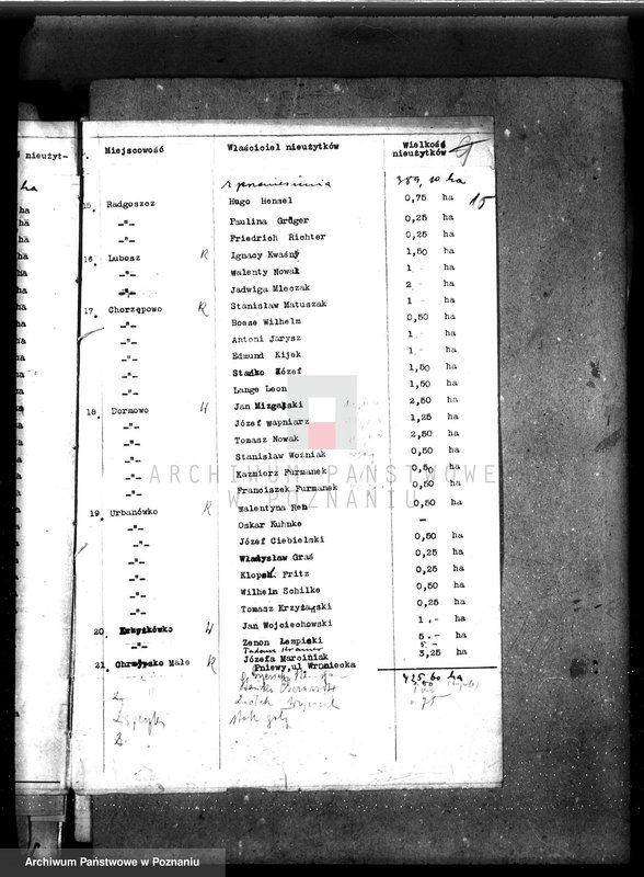 Obraz 19 z jednostki "Zalesienie nieużytków w powiecie międzychodzkim"