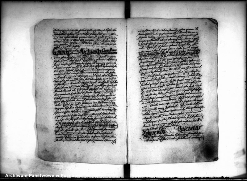 Obraz 5 z jednostki "Inscriptiones [inducta]"