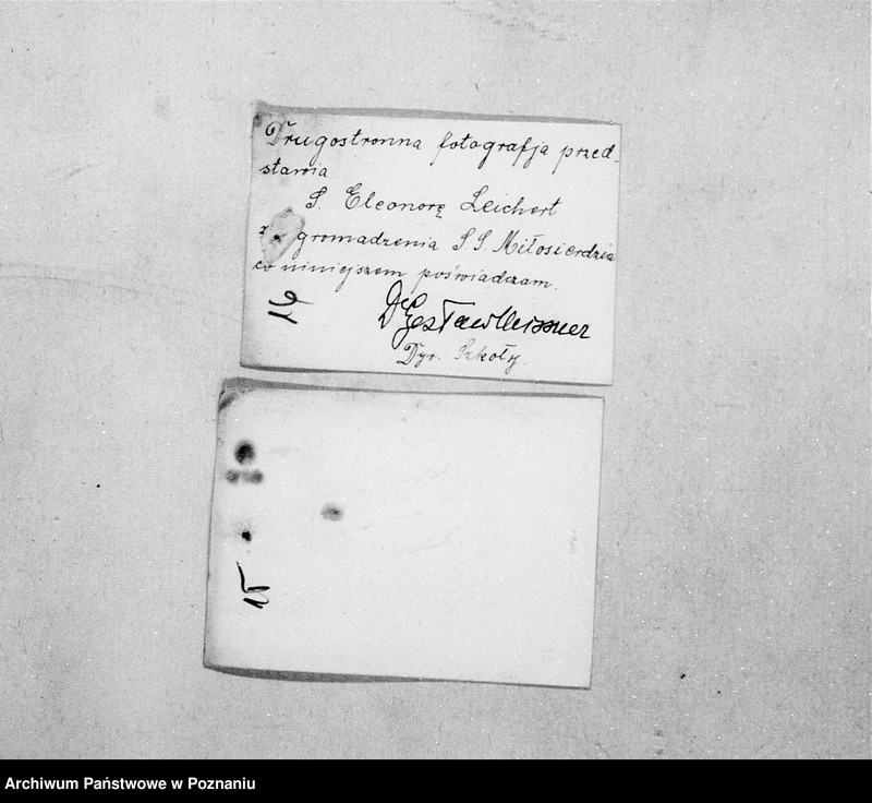 Obraz 19 z jednostki "/Podanie o dopuszczenie do egzaminu pielęgniarskiego/"