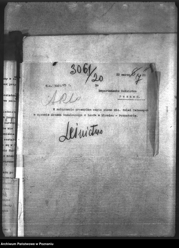 Obraz 11 z jednostki "Leśnictwo"