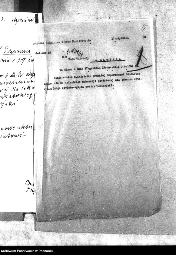 Obraz 9 z jednostki "Weterynarze powiatowi - subwencje"