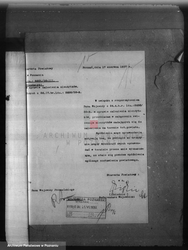 Obraz 19 z jednostki "Zalesienie nieużytków w powiecie poznańskim"