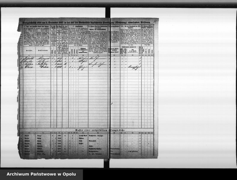 Obraz 10 z jednostki "Zählbezirk 9 [Spis ludności, 1867]"