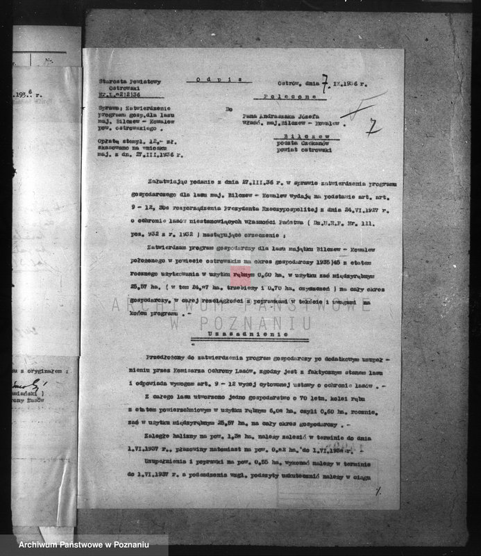 Obraz 12 z jednostki "Nadzór nad gospodarką w lasach majątku Billczew-Kowalew powiat obornicki"