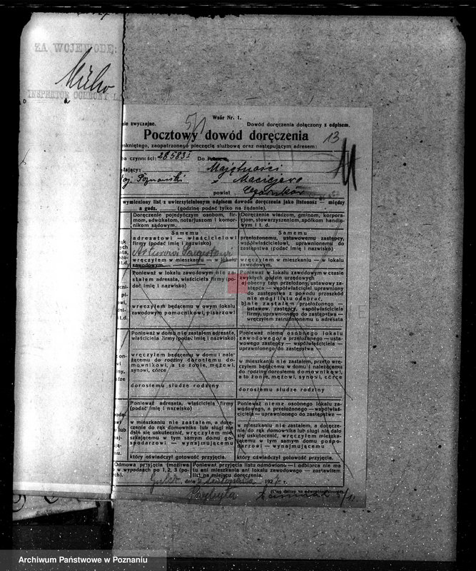 Obraz 17 z jednostki "Nadzór nad lasami majętności Maciejewo w powiecie czarnkowskim"