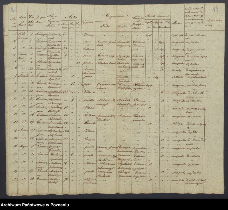 Obraz 10 z jednostki "Duplikatus Baptisatorum, Copulatorum, Mortuorum"