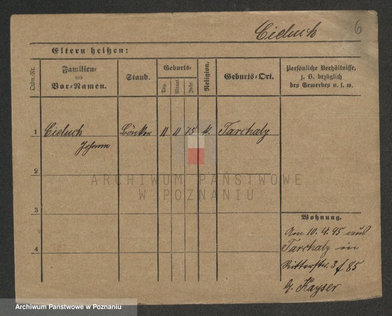 Obraz 8 z jednostki "Cieluch - Ciesielczyk"