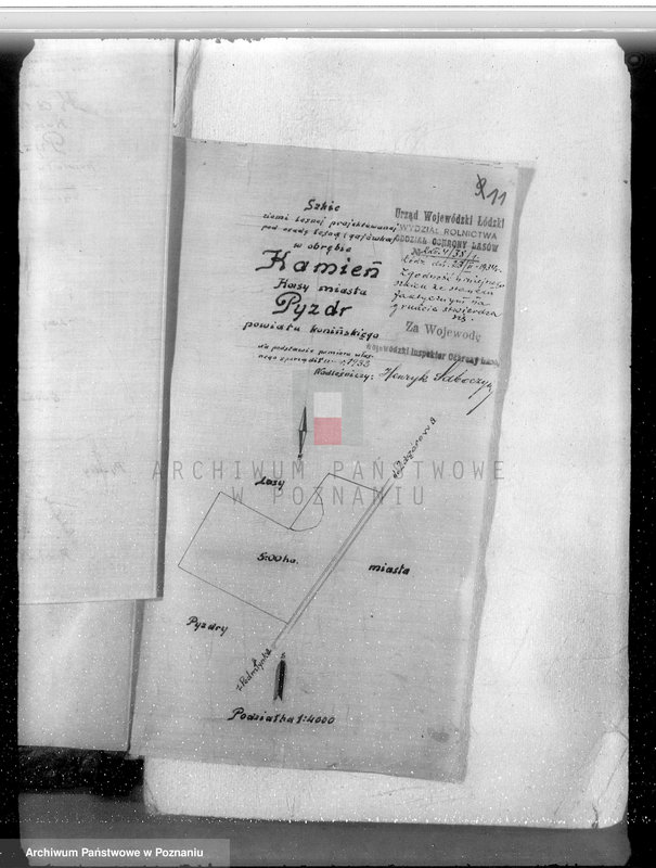 Obraz 15 z jednostki "Sprawa zmiany wydzielenia około 1300 ha gruntów leśnych w lasach miasta Pyzdry ewentualnie z przymusową likwidacją serwitutów wsi Holendry Pyzderskie"