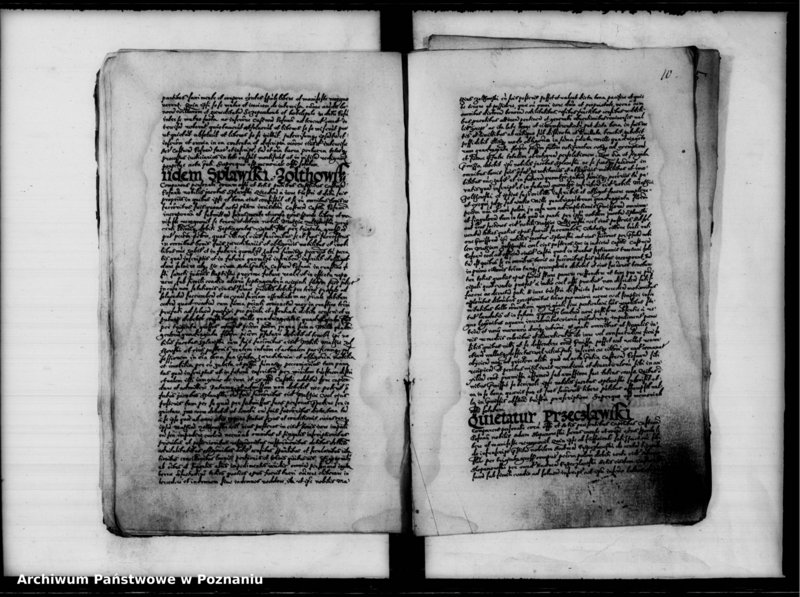 Obraz 13 z jednostki "Inscriptiones, relationes [inducta]"