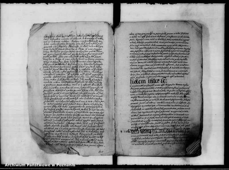 Obraz 5 z jednostki "Inscriptiones, relationes [inducta]"