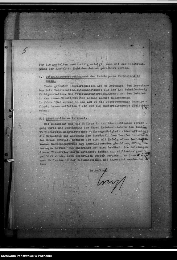 Obraz 9 z jednostki "Programm "Tag der Freiheit" - Leistungsbericht"