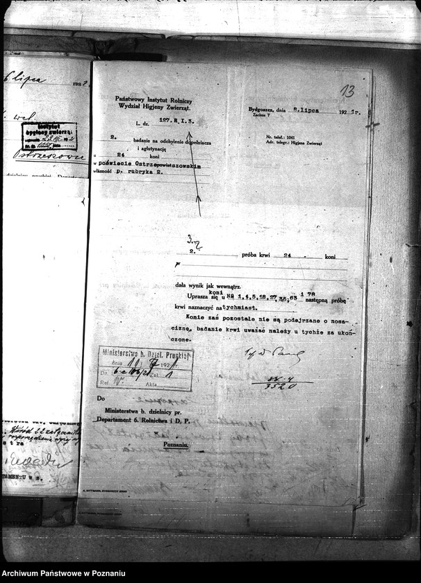 Obraz 17 z jednostki "Nosacizna - Ostrzeszów"