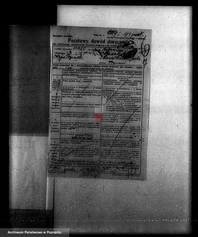 Obraz 11 z jednostki "Majętność leśna Kociałkowo powiat poznański"