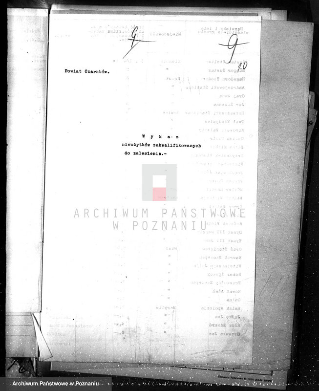 Obraz 14 z jednostki "Zalesianie nieużytków w powiecie czarnkowskim"