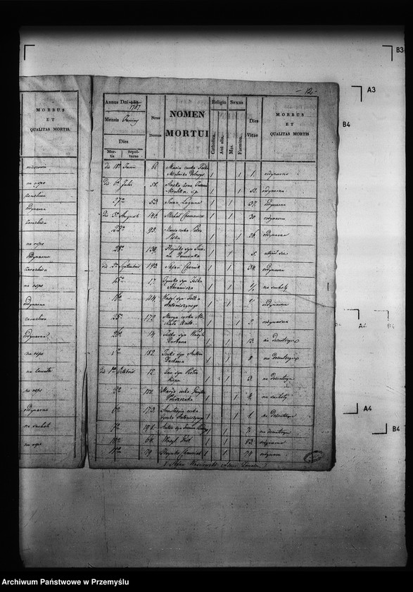 Obraz 17 z jednostki "[Kopie ksiąg metrykalnych parafii Zawadów (dekanat Niemirów)]"