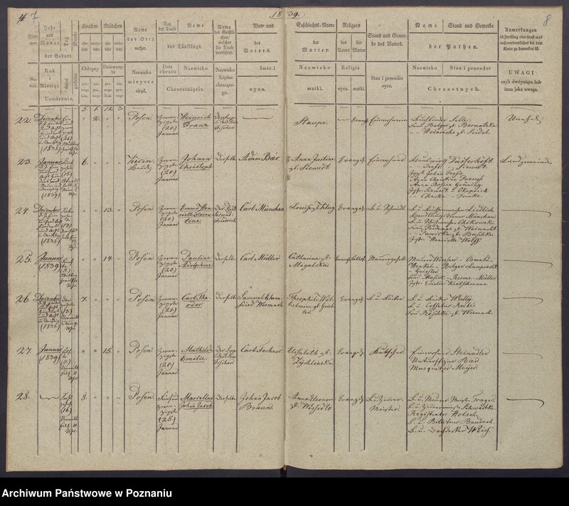 Obraz 7 z jednostki "[Akta urodzeń i chrztów, zgonów i pogrzebów, zapowiedzi i ślubów]"