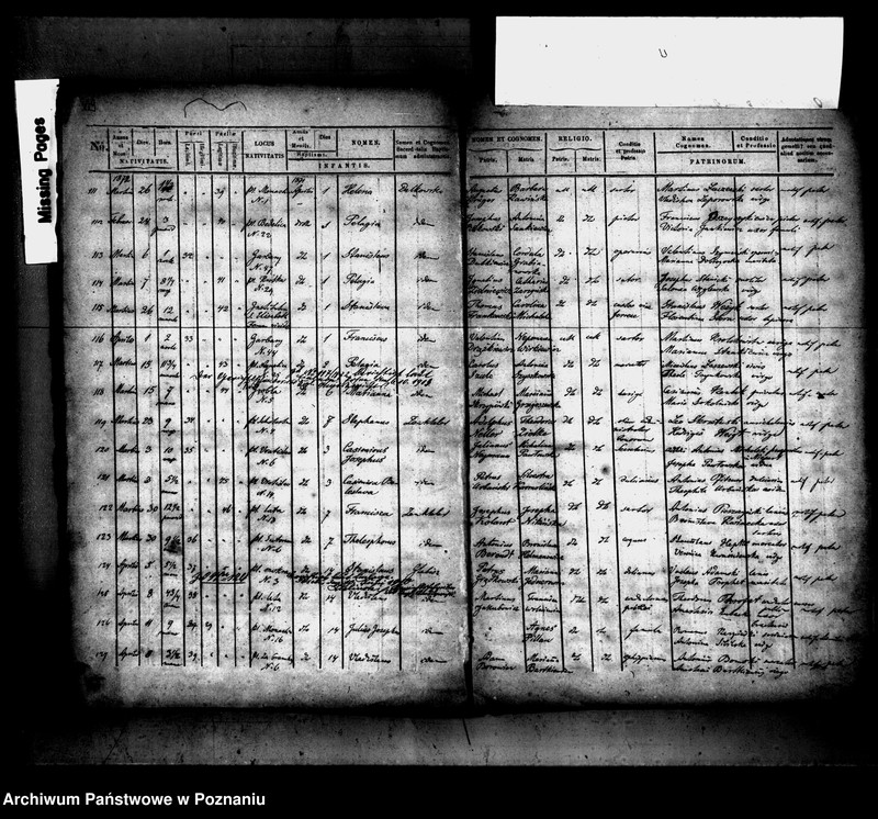 Obraz 11 z jednostki "Księga urodzin"