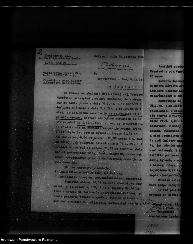 Obraz 6 z jednostki "Majętność leśna Czesławice powiat wągrowiecki własność Koerner"