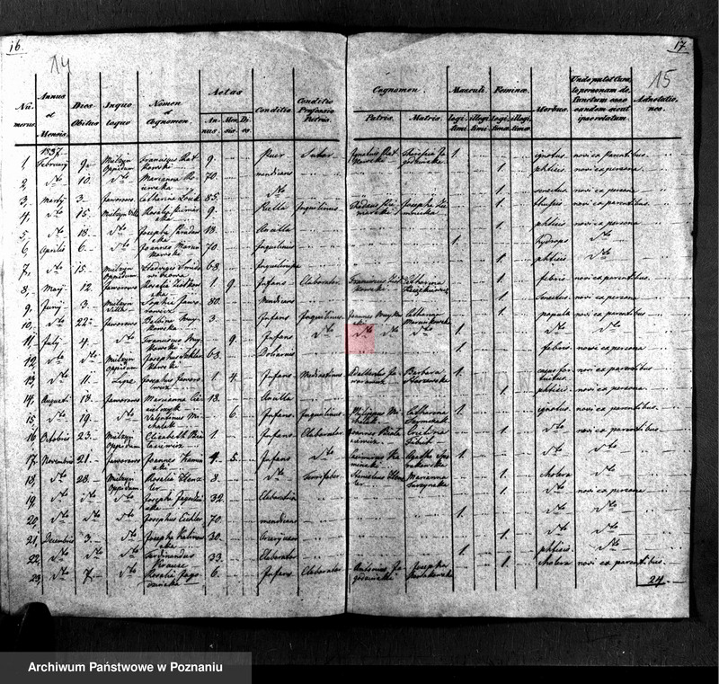 Obraz 9 z jednostki "Liber baptisatorum, copulatorum, mortuorum"