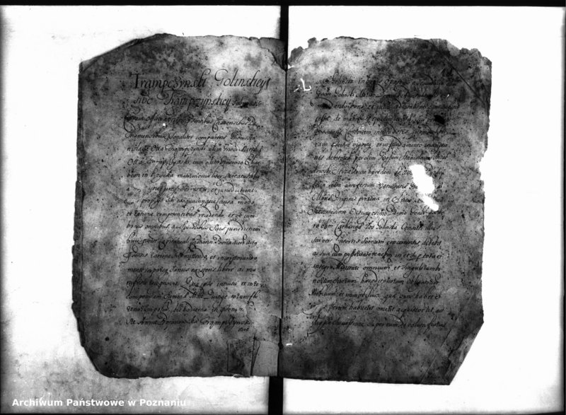 Obraz 7 z jednostki "Inscriptiones, resignationes [protocollon]"