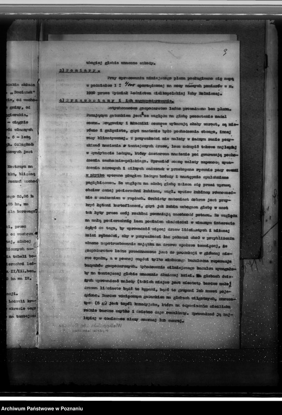 Obraz 7 z jednostki "Majętność leśna Węgierskie powiat średzki [opis lasu i plan cięć]"