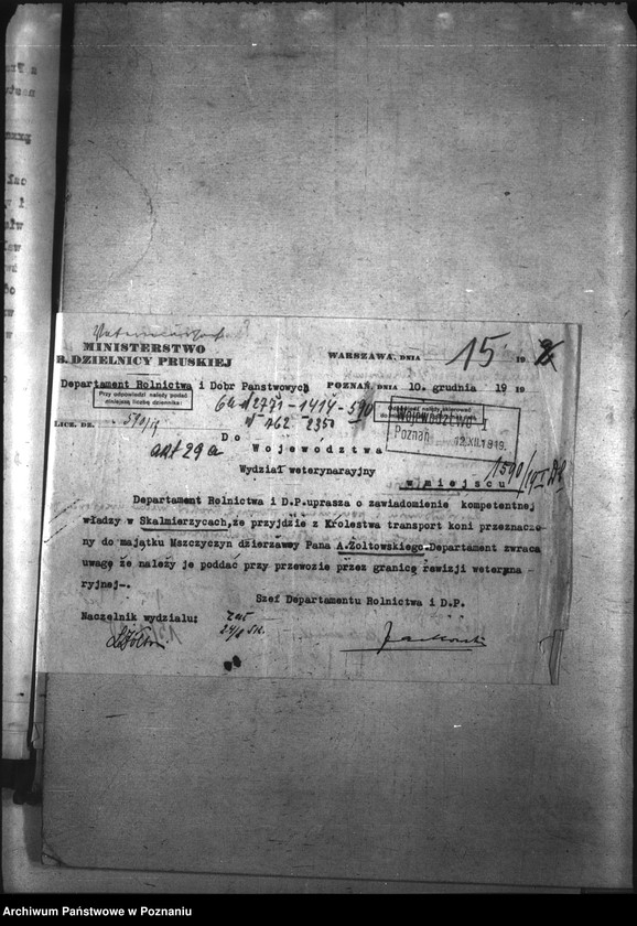 Obraz 19 z jednostki "Przemytnictwo koni"