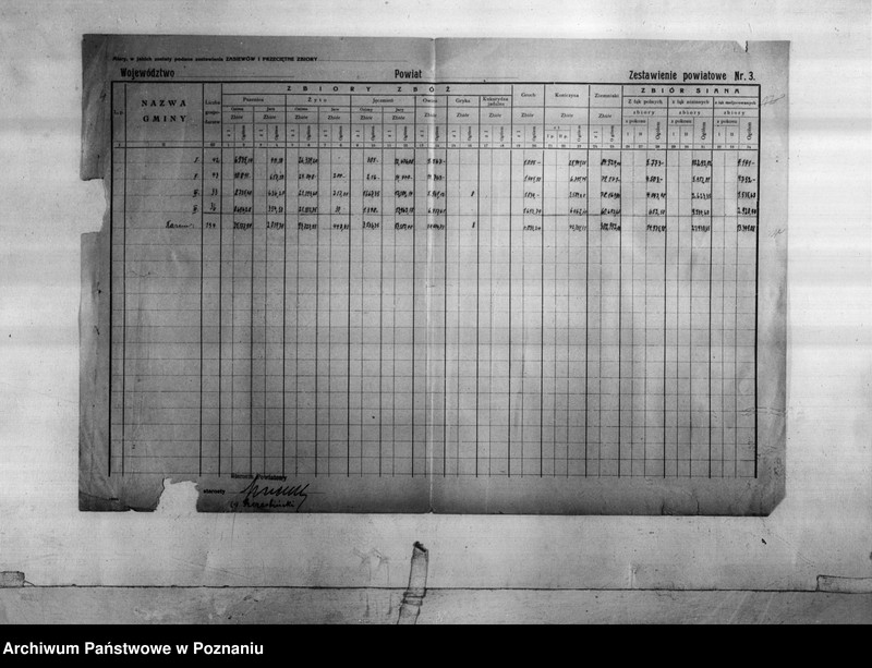 Obraz 6 z jednostki "Statystyka produkcji rolnej - zestawienie z powiatu żnińskiego"