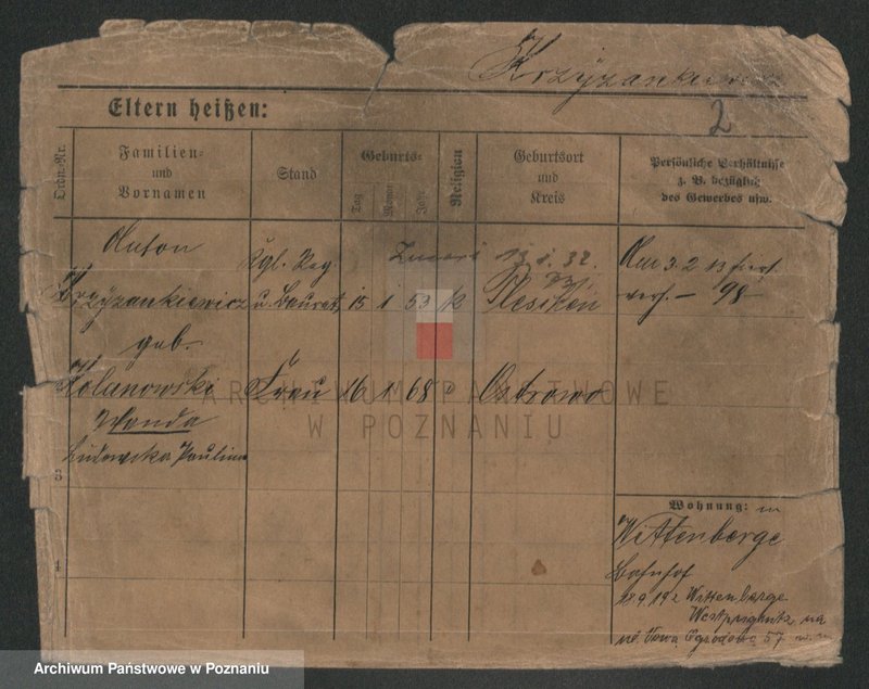 Obraz 2 z jednostki "Krzyżankiewicz - Kszyrski"