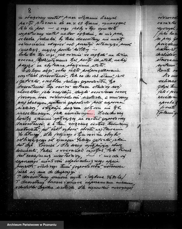 Obraz 13 z jednostki "Majętność leśna Kostrzynek-Mościska powiat wyrzyski"