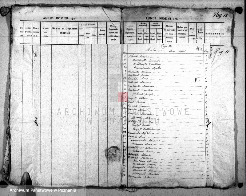 image.from.unit.number "Duplikat baptisatorum, copulatorum u. mortuorum"