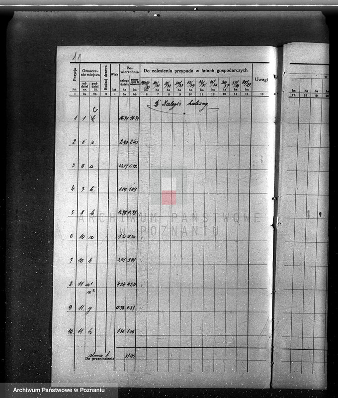 Obraz 15 z jednostki "/Opis lasu majętności Sławno w powiecie czarnkowskim/"