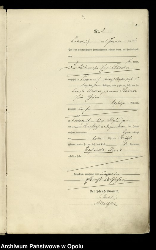image.from.unit.number "Urodzenia 1901 (Głubczyce)"