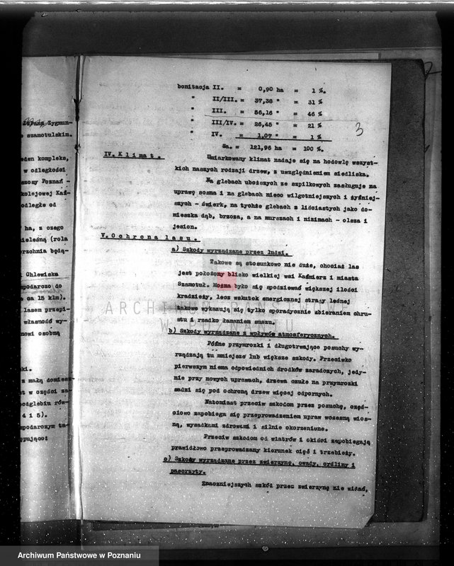 Obraz 7 z jednostki "Plan urządzenia gospodarstwa leśnego majątku Chlewiska w powiecie szamotulskim"