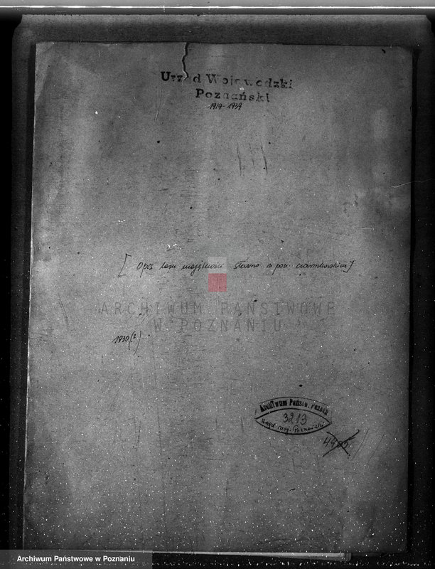 Obraz 4 z jednostki "/Opis lasu majętności Sławno w powiecie czarnkowskim/"