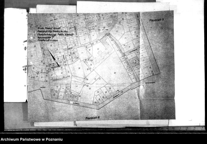 Obraz 18 z jednostki "Prace budowlane w ogrodzie urzędu namiestnika"