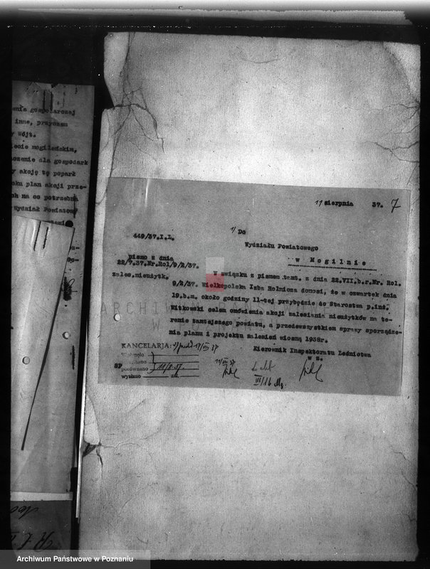 Obraz 11 z jednostki "Zalesienie nieużytków w powiecie mogileńskim"