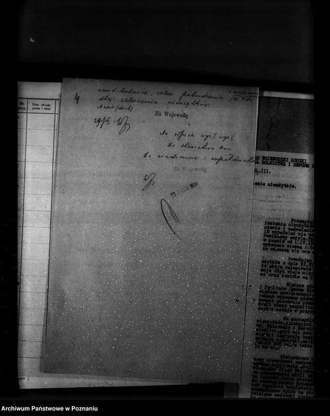 Obraz 8 z jednostki "Zalesienie nieużytków w powiecie tureckim"