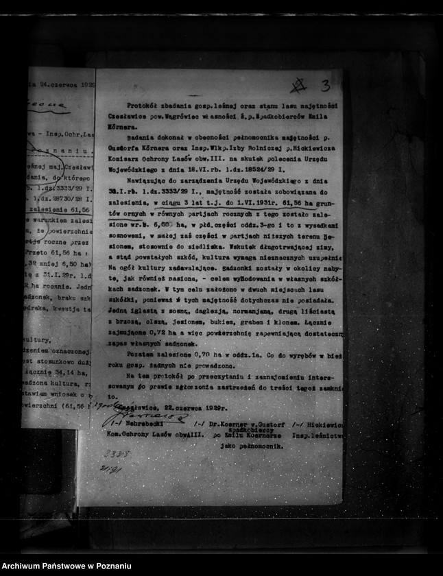 Obraz 7 z jednostki "Majętność leśna Czesławice powiat wągrowiecki własność Koerner"