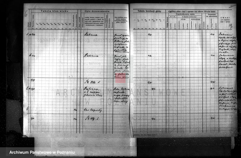 image.from.unit.number "Plan urządzenia gospodarstwa leśnego dla lasu majętności Lubosina powiat szamotulski 1938-1948"