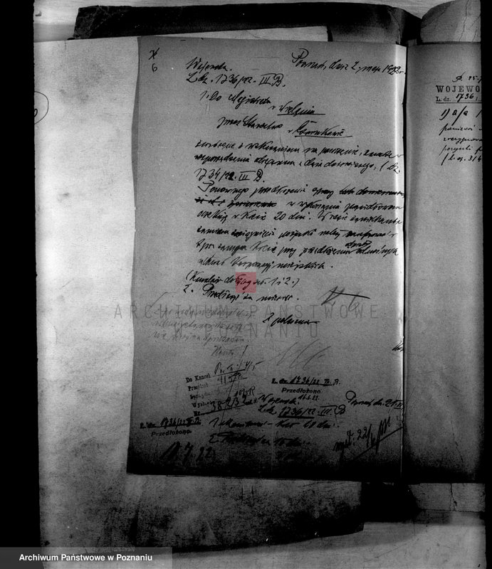 Obraz 12 z jednostki "Administracja miasta Wielenia"