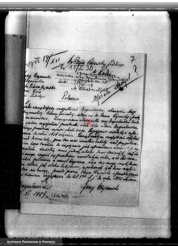 Obraz 11 z jednostki "Sprawa wyłączenia obszarów leśnych z majątku Bogusławice powiatu kolskiego"