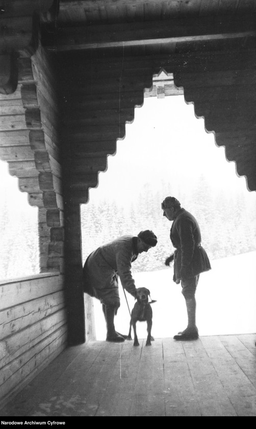 image.from.unit.number "Polowanie na niedźwiedzie w nadleśnictwie Sołotwina, w lasach należących do hrabiego Adama Zdzisława Zamoyskiego"