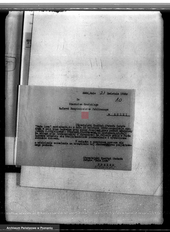 Obraz 13 z jednostki "Sprawa pojawienia się borecznika w lasach majątku Dąbia powiatu kolskiego"