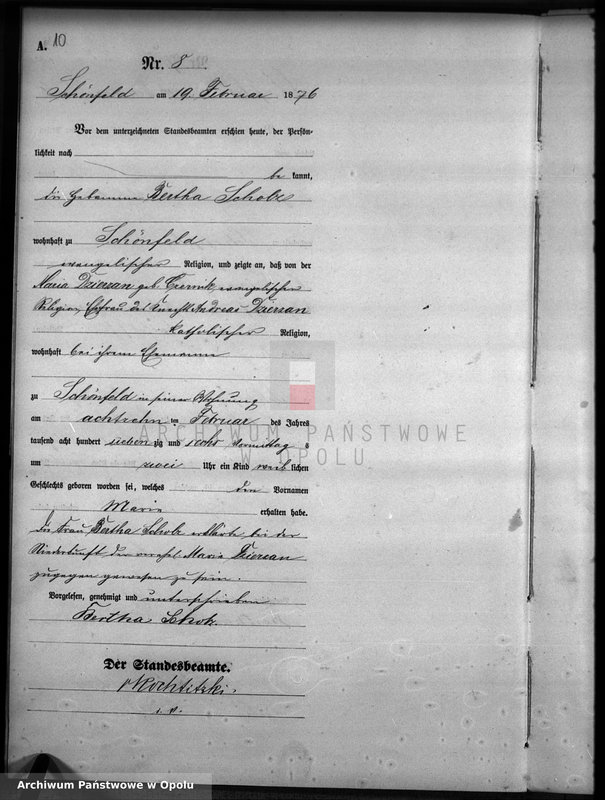 image.from.unit.number "Geburts-Haupt-Register Standesamts Schönfeld pro 1876"