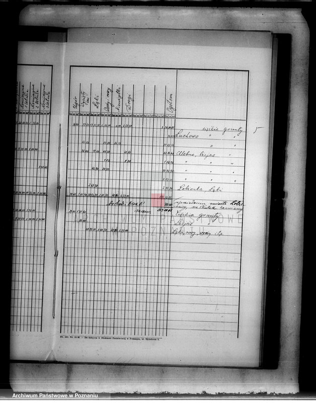 Obraz 9 z jednostki "Rejestr pomiarowy zasiewów i upraw majątku Łobżenice powiatu wyrzyskiego"