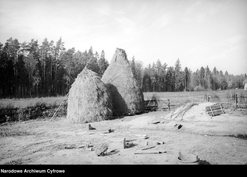 image.from.unit.number "Białowieża"